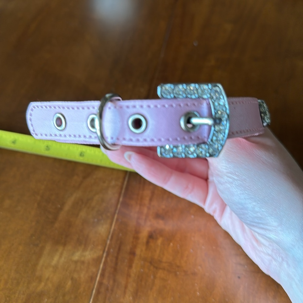 Medium Size Pet Collar